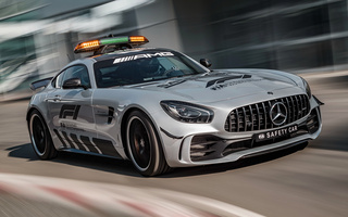 Mercedes-AMG GT R F1 Safety Car (2018) (#76917)