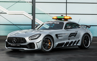 Mercedes-AMG GT R F1 Safety Car (2018) (#76919)