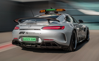 Mercedes-AMG GT R F1 Safety Car (2018) (#76920)