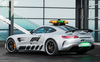 Mercedes-AMG GT R F1 Safety Car (2018) (#76922)