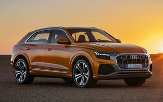 Audi Q8 S line (2018) (#78255)