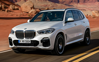 BMW X5 M Sport (2018) (#78259)