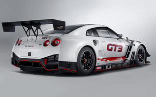 Nissan GT-R Nismo GT3 (2019) (#78366)