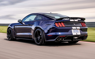Shelby GT350 (2019) (#78382)