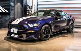 Shelby GT350 (2019) (#78384)