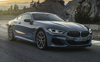 BMW M850i Coupe (2018) (#78436)