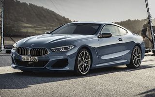 BMW M850i Coupe (2018) (#78438)