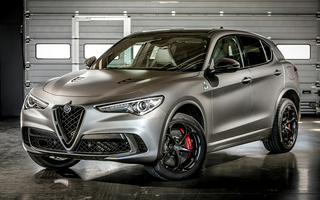 Alfa Romeo Stelvio Quadrifoglio NRing (2018) (#78779)