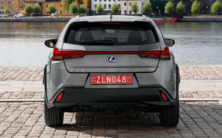 Lexus UX Hybrid (2018) (#79605)