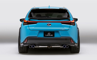 Lexus UX Hybrid Custom Concept (2018) (#79607)