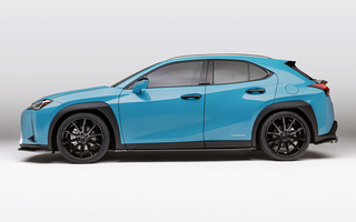 Lexus UX Hybrid Custom Concept (2018) (#79608)