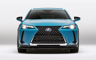 Lexus UX Hybrid Custom Concept (2018) (#79609)