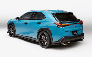 Lexus UX Hybrid Custom Concept (2018) (#79610)