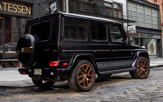 Mercedes-AMG G 65 Final Edition (2018) US (#79690)