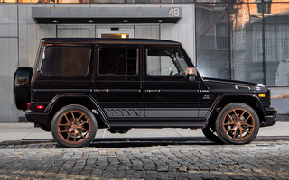 Mercedes-AMG G 65 Final Edition (2018) US (#79696)