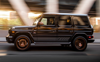 Mercedes-AMG G 65 Final Edition (2018) US (#79697)