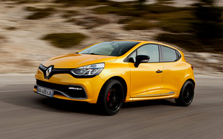 Renault Clio R.S. 200 (2013) (#8003)