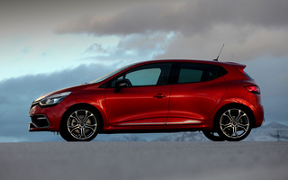 Renault Clio R.S. 200 (2013) (#8005)