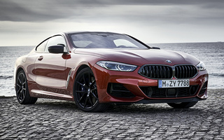 BMW M850i Coupe Shadow Line (2018) (#80908)