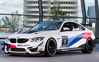 BMW M4 GT4 (2017) (#81117)