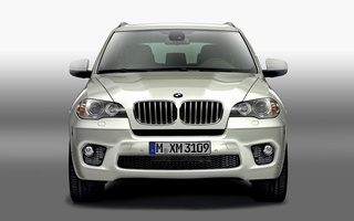 BMW X5 M Sport (2010) (#81484)