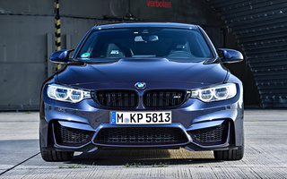 BMW M3 30 Years Edition (2016) (#81541)