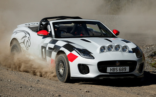 Jaguar F-Type Rally Car (2018) (#81599)