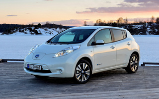 Nissan Leaf (2013) (#8234)