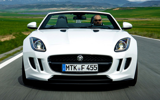 Jaguar F-Type (2013) (#8289)