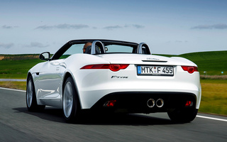 Jaguar F-Type (2013) (#8295)