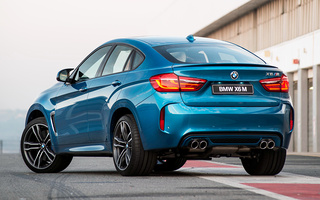 BMW X6 M (2015) ZA (#84056)