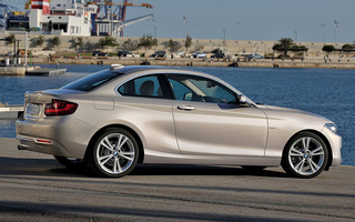 BMW 2 Series Coupe (2014) (#84412)