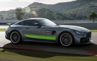 Mercedes-AMG GT R Pro (2019) (#84881)