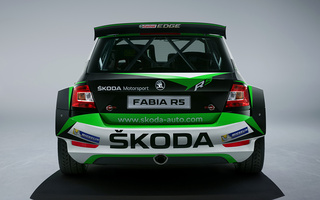 Skoda Fabia R5 Concept (2018) (#85010)