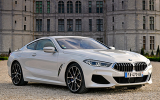BMW 8 Series Coupe M Sport (2018) (#85242)