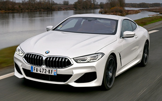 BMW 8 Series Coupe M Sport (2018) (#85244)
