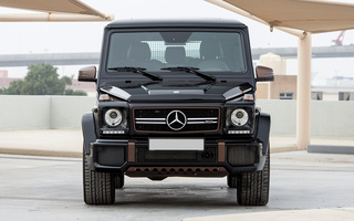 Mercedes-AMG G 65 Final Edition (2018) (#85377)