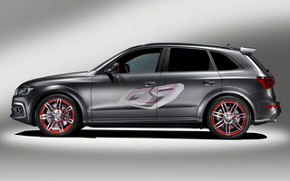 Audi Q5 Custom concept (2009) (#85754)