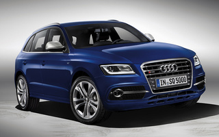 Audi SQ5 (2013) (#85798)