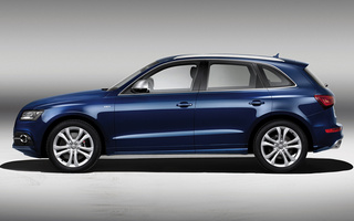 Audi SQ5 (2013) (#85800)