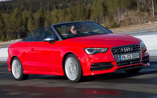 Audi S3 Cabriolet (2014) (#86060)