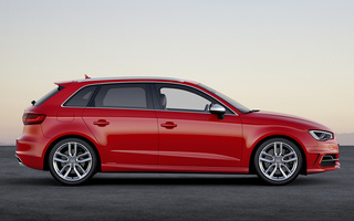 Audi S3 Sportback (2013) (#86079)