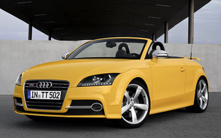 Audi TTS Roadster Competition (2013) (#86798)