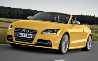 Audi TTS Roadster Competition (2013) (#86799)