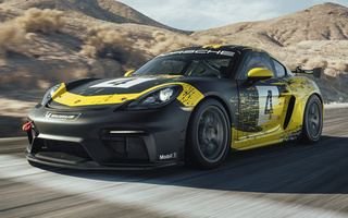 Porsche 718 Cayman GT4 Clubsport (2019) (#88065)