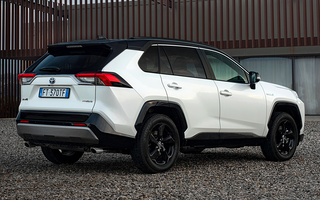 Toyota RAV4 Hybrid (2019) (#88381)