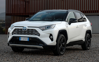 Toyota RAV4 Hybrid (2019) (#88385)