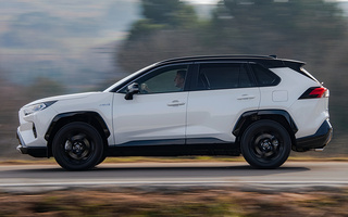 Toyota RAV4 Hybrid (2019) (#88386)