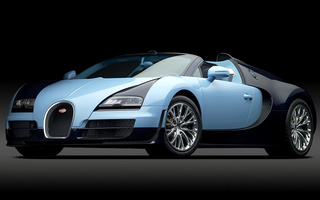 Bugatti Veyron Grand Sport Vitesse Jean-Pierre Wimille (2013) (#8840)