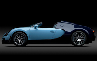 Bugatti Veyron Grand Sport Vitesse Jean-Pierre Wimille (2013) (#8841)